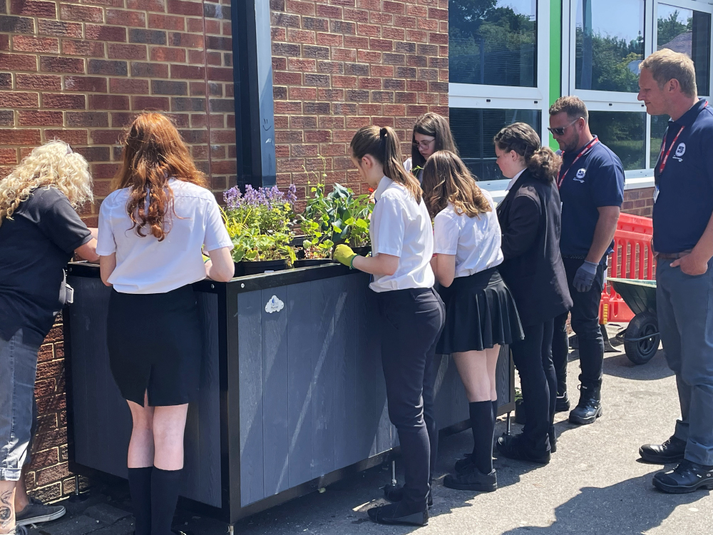 Students adding plants to a raingarden planter