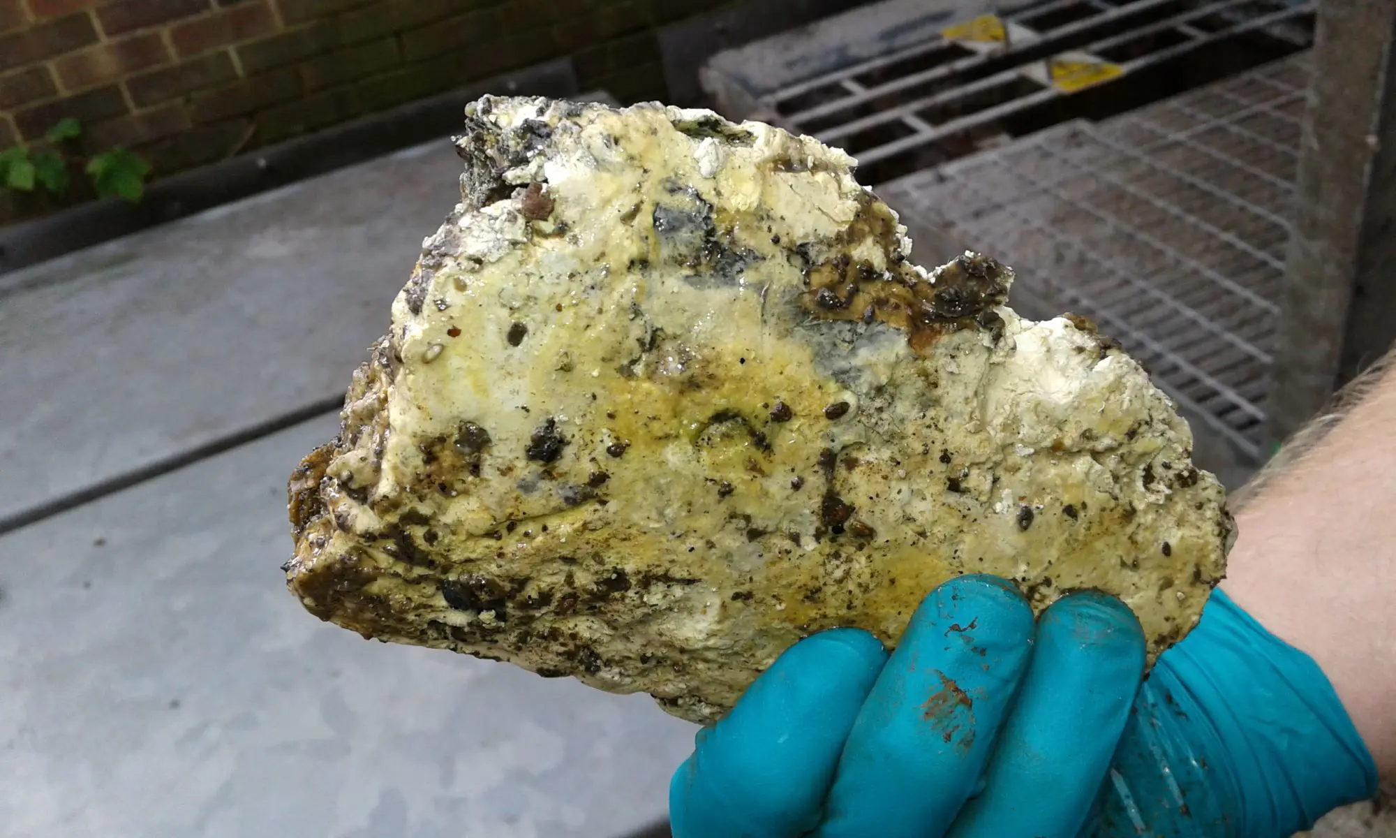 solid fats, oil, grease found in a sewer