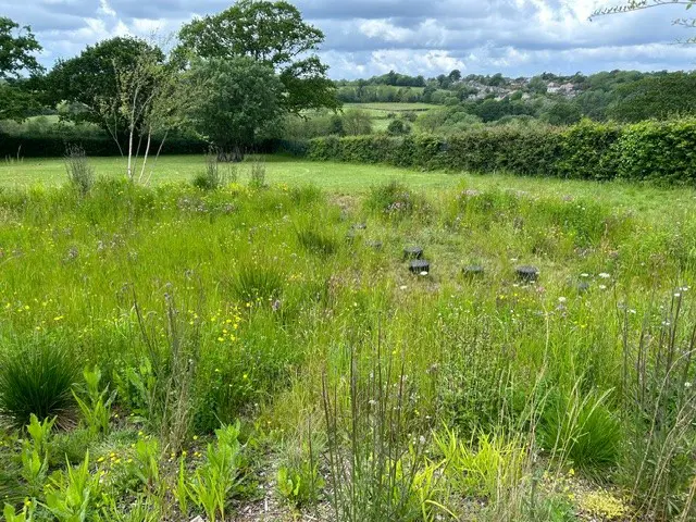 Haylands Meadow sustainable drainage