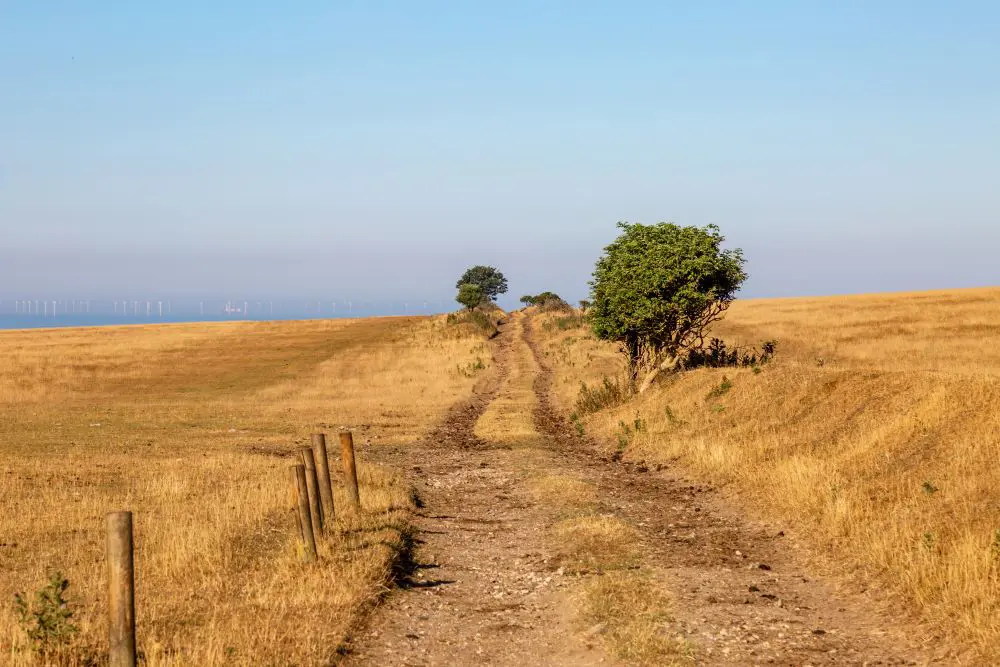 dry country path in a hot sunny day drought