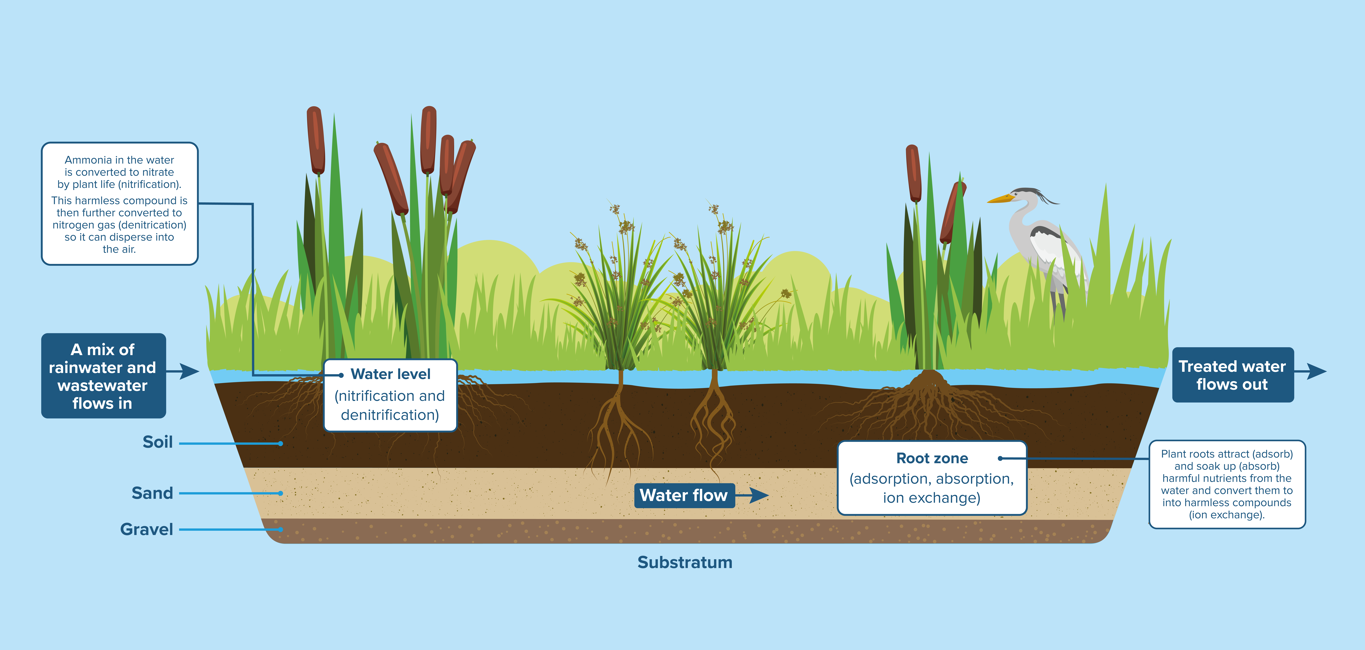 An infographic showing the various layers of wetland treatment