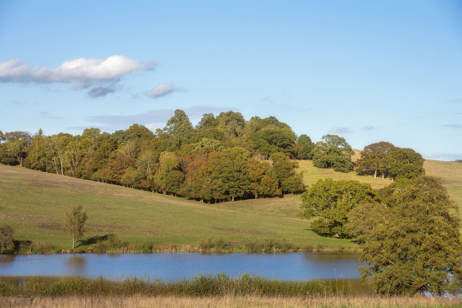 Beautiful nature scene Wealden East Sussex
                        