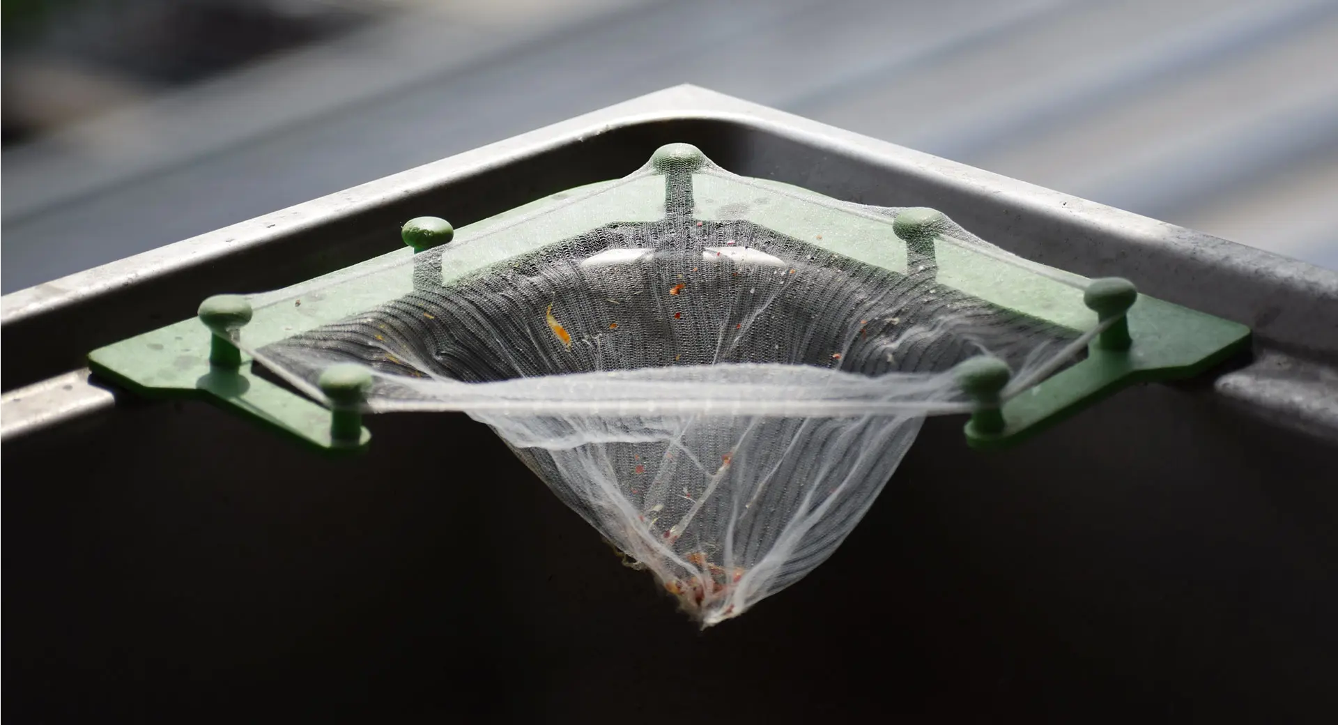 Food being caught in a net 