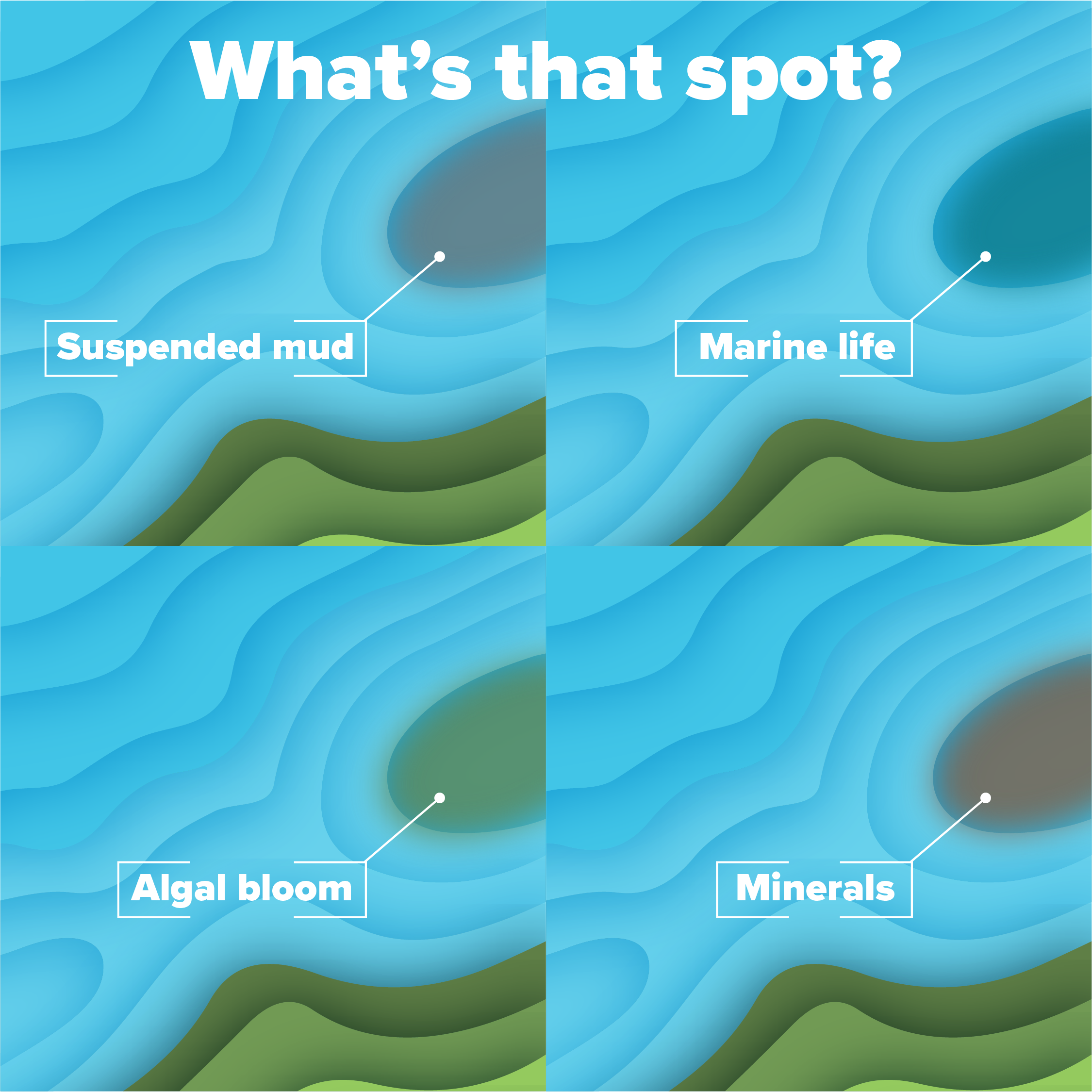 Diagram of why the sea may be discoloured.