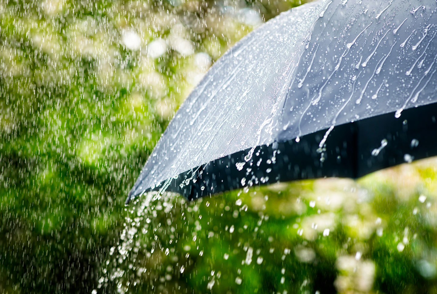 Umbrella in the rain