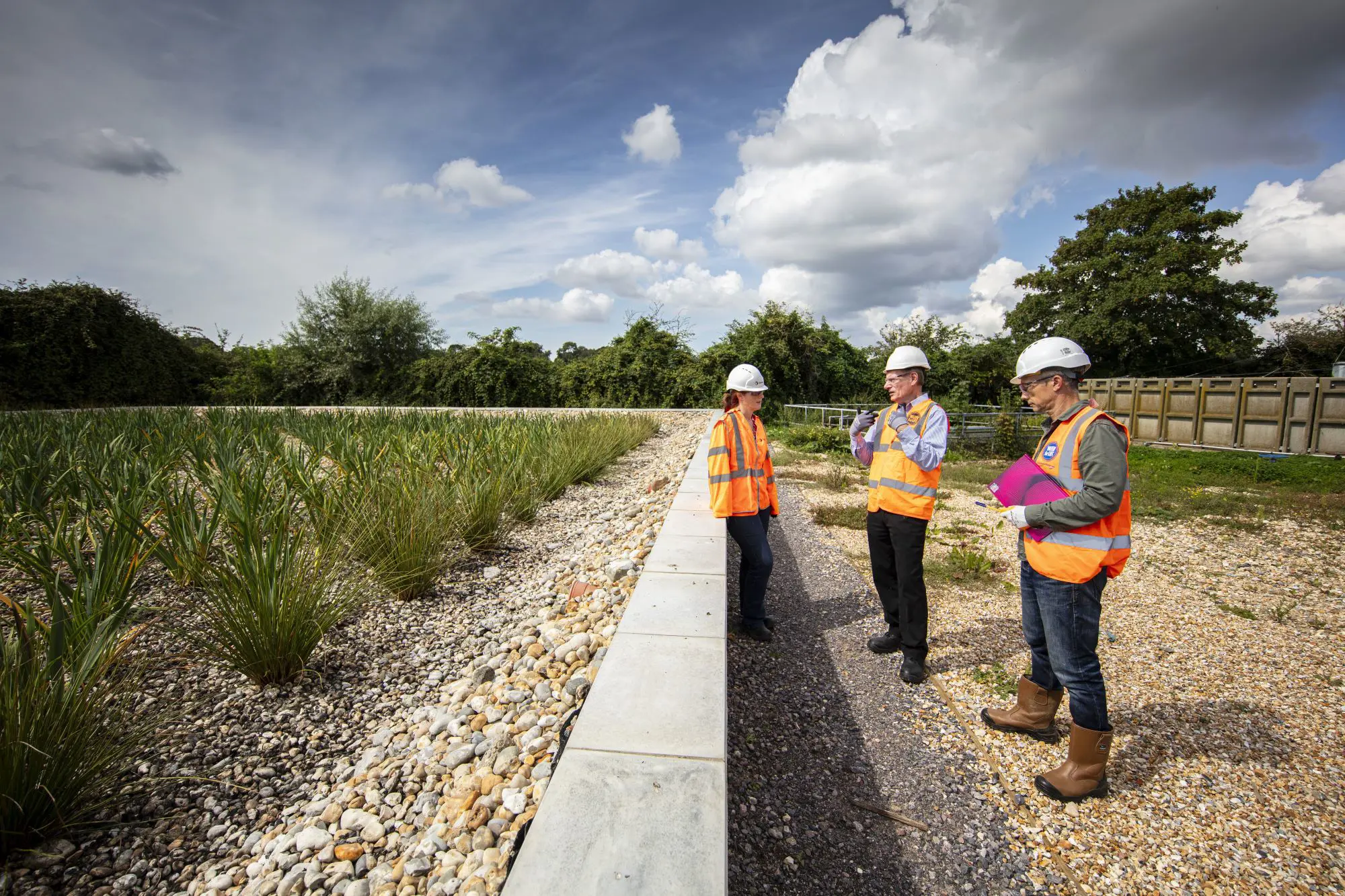 Lavant Wetland part of the Clean Rivers and Seas Task Force Pathfinder Project