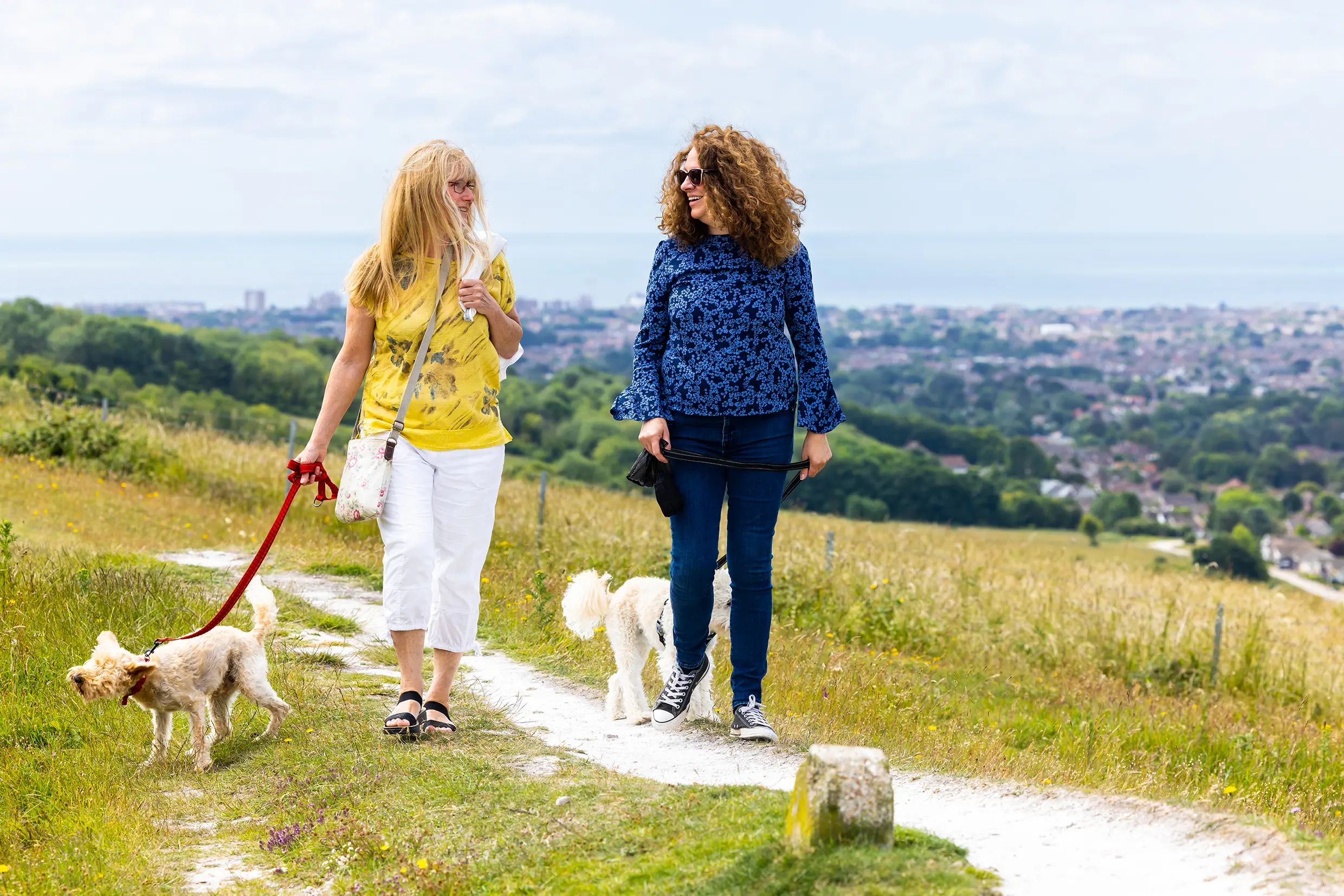 Two people walk with two dogs on Cissbury Ring